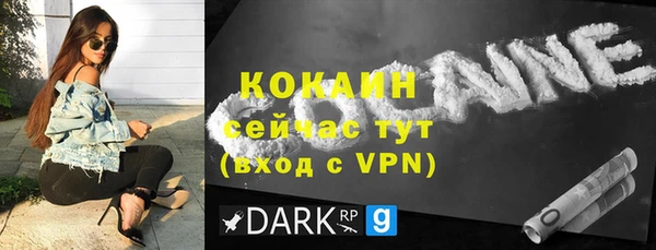 крисы Новодвинск