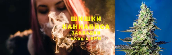 индика Армянск