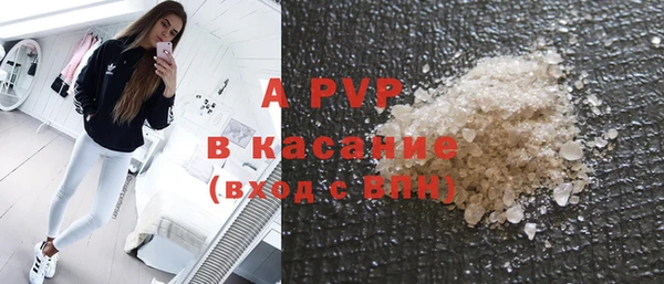 крисы Новодвинск