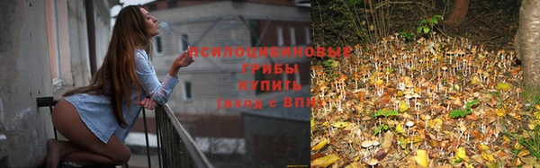 крисы Новодвинск
