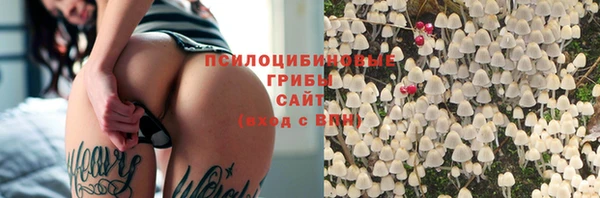 индика Армянск